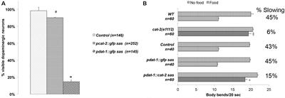 Silencing of Syntaxin 1A in the Dopaminergic Neurons Decreases the Activity of the Dopamine Transporter and Prevents Amphetamine-Induced Behaviors in C. elegans